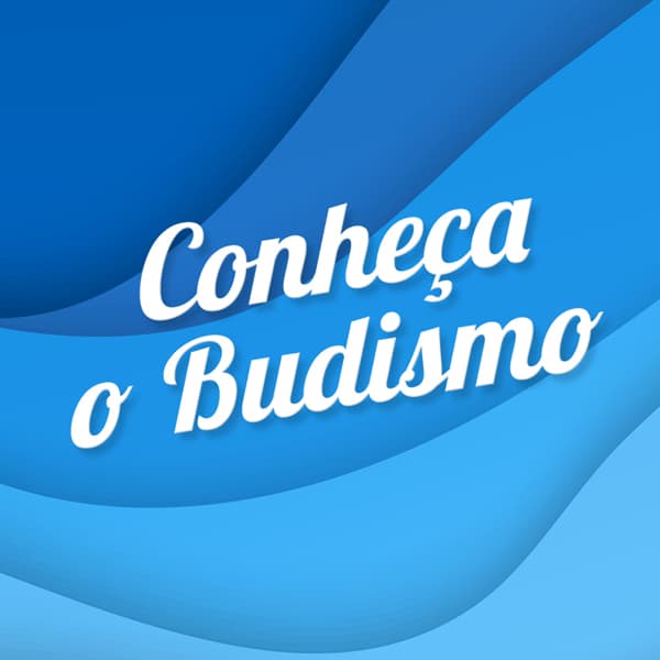 Os passos para alçar voo rumo à plena felicidade